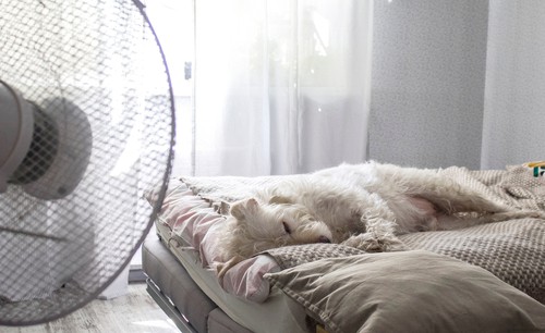 Ways On Keeping Your Home Cool Without Aircon